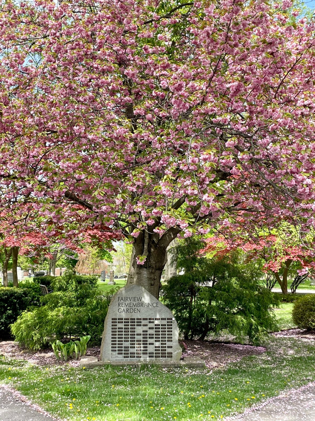 A scattering garden at Fairview Cemetery in Niagara Falls.