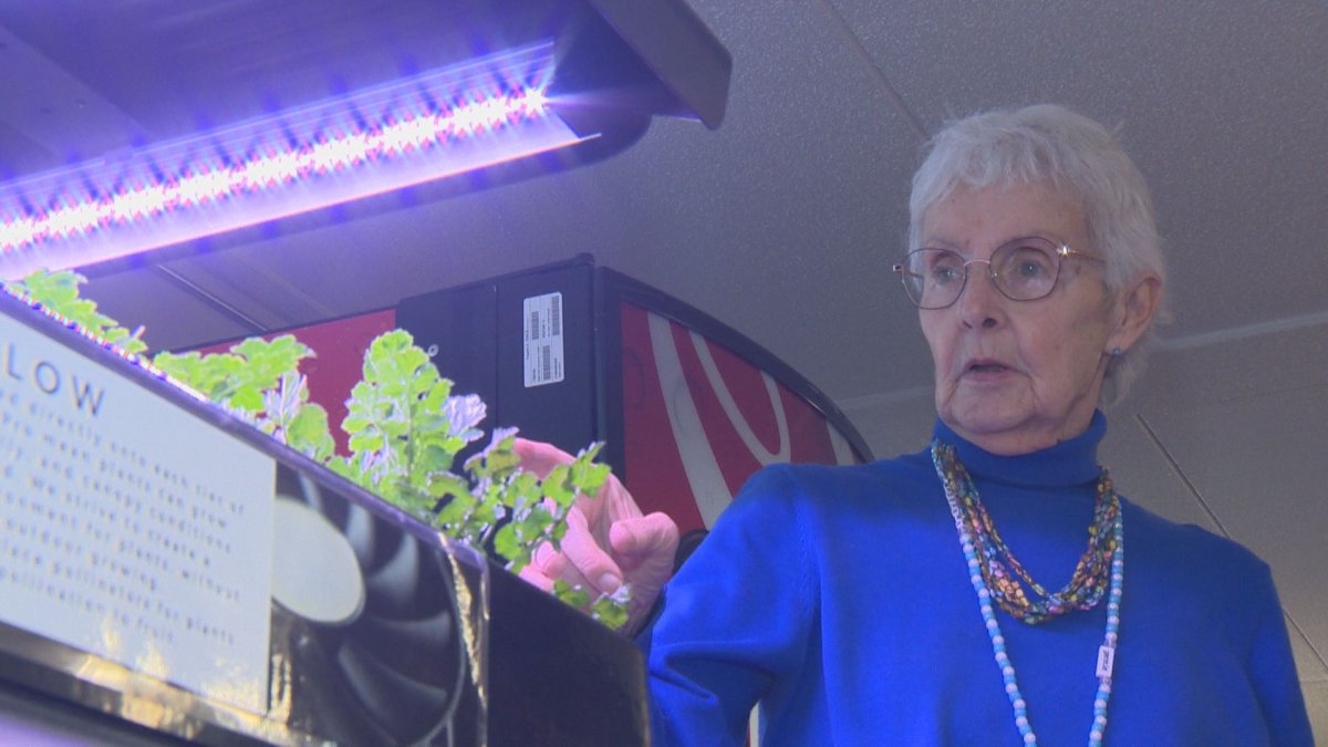 Resident Madelene Field tends the indoor garden at Donwood Manor.