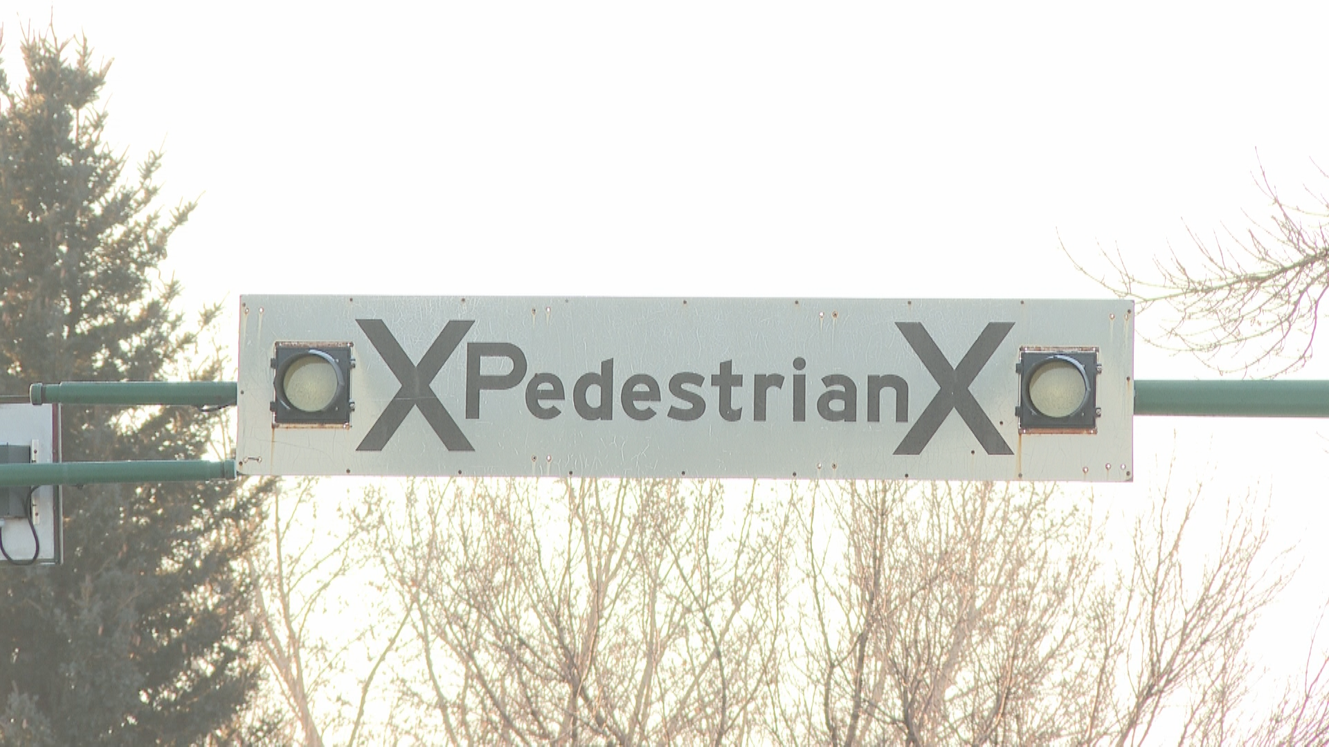 A pedestrian crosswalk sign.