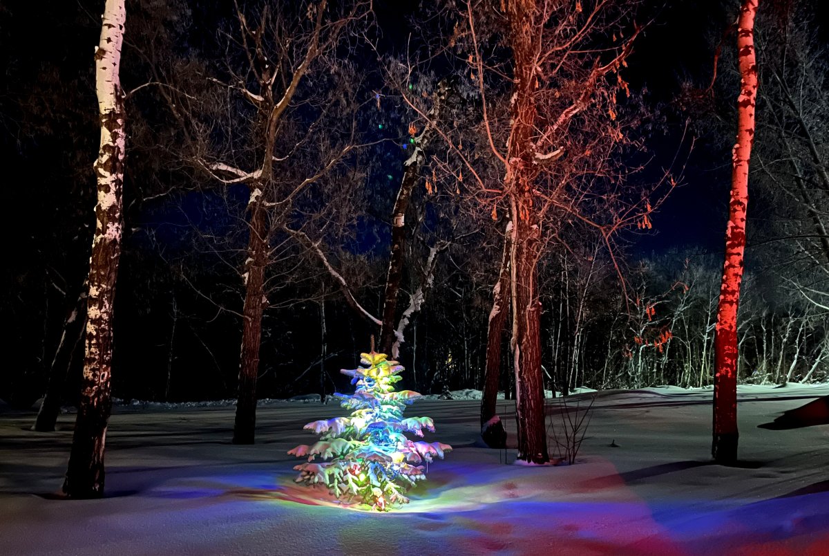 The Your Saskatchewan photo of the day for January 7 was taken by Karen Wolaniuk at Pike Lake.