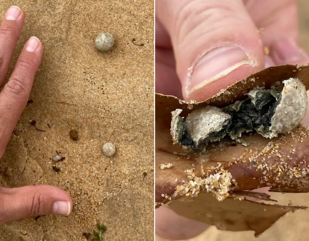 More mysterious balls have washed up along the beaches of Sydney, Australia.