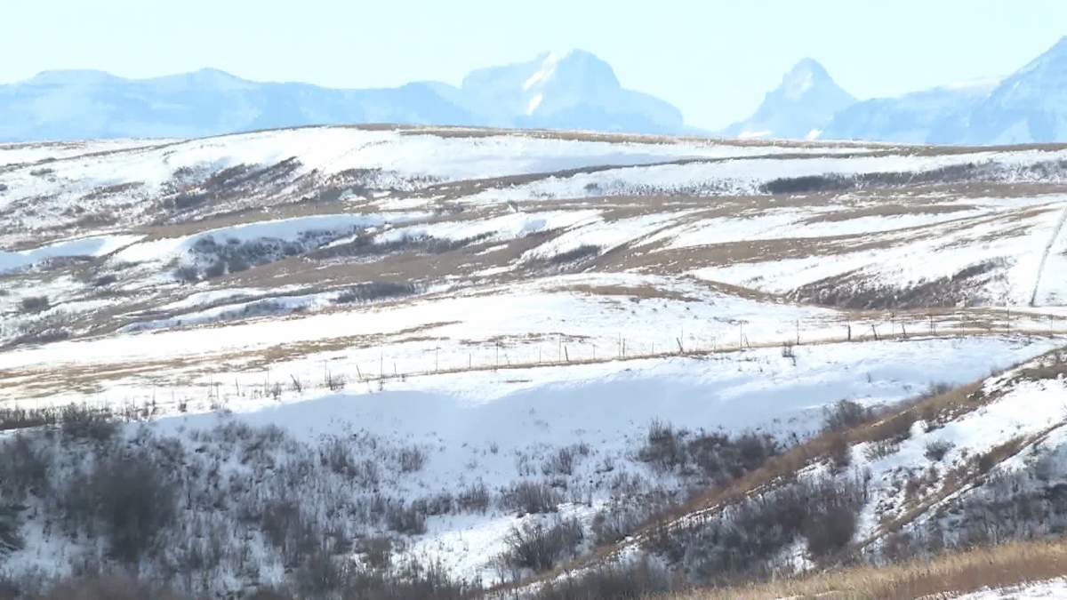 Cardston County rancher Lane Cook's stretches for about 3 km along the Canada-U.S. border. This is the view looking south from Alberta into Montana.