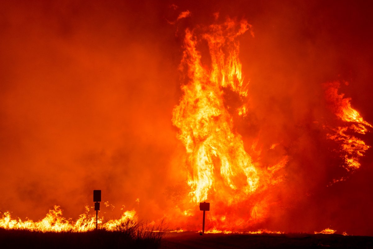 Flames by the Hughes Fire burns trees in Castaic, Calif., Wednesday, Jan. 22, 2025.