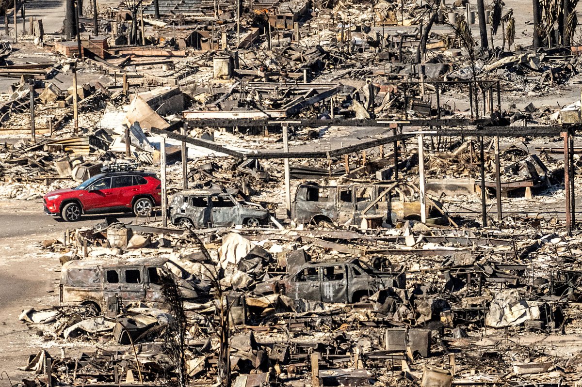 Los Angeles Wildfires