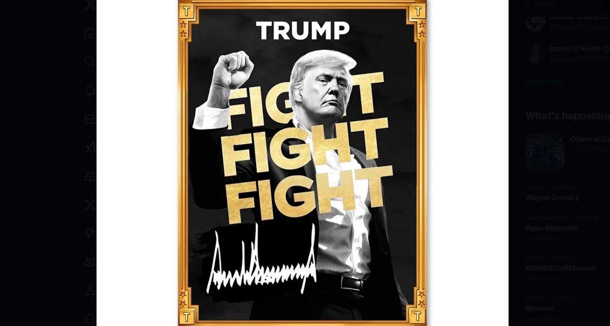 Trump promotes new meme coin before taking office on pro-crypto agenda -  National | Globalnews.ca