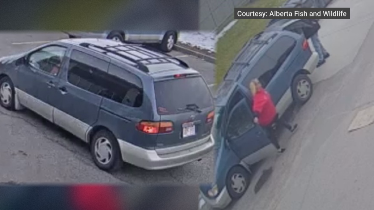 Surveillance photo of the van and couple Alberta Fish and Wildlife believed are involved in dumping the carcass of a headless male deer.