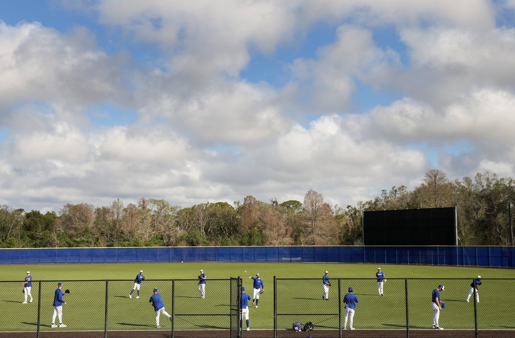 Blue Jays taking interest in hockey as camp opens