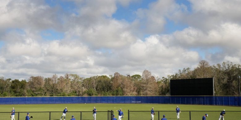 Blue Jays taking interest in hockey as camp opens