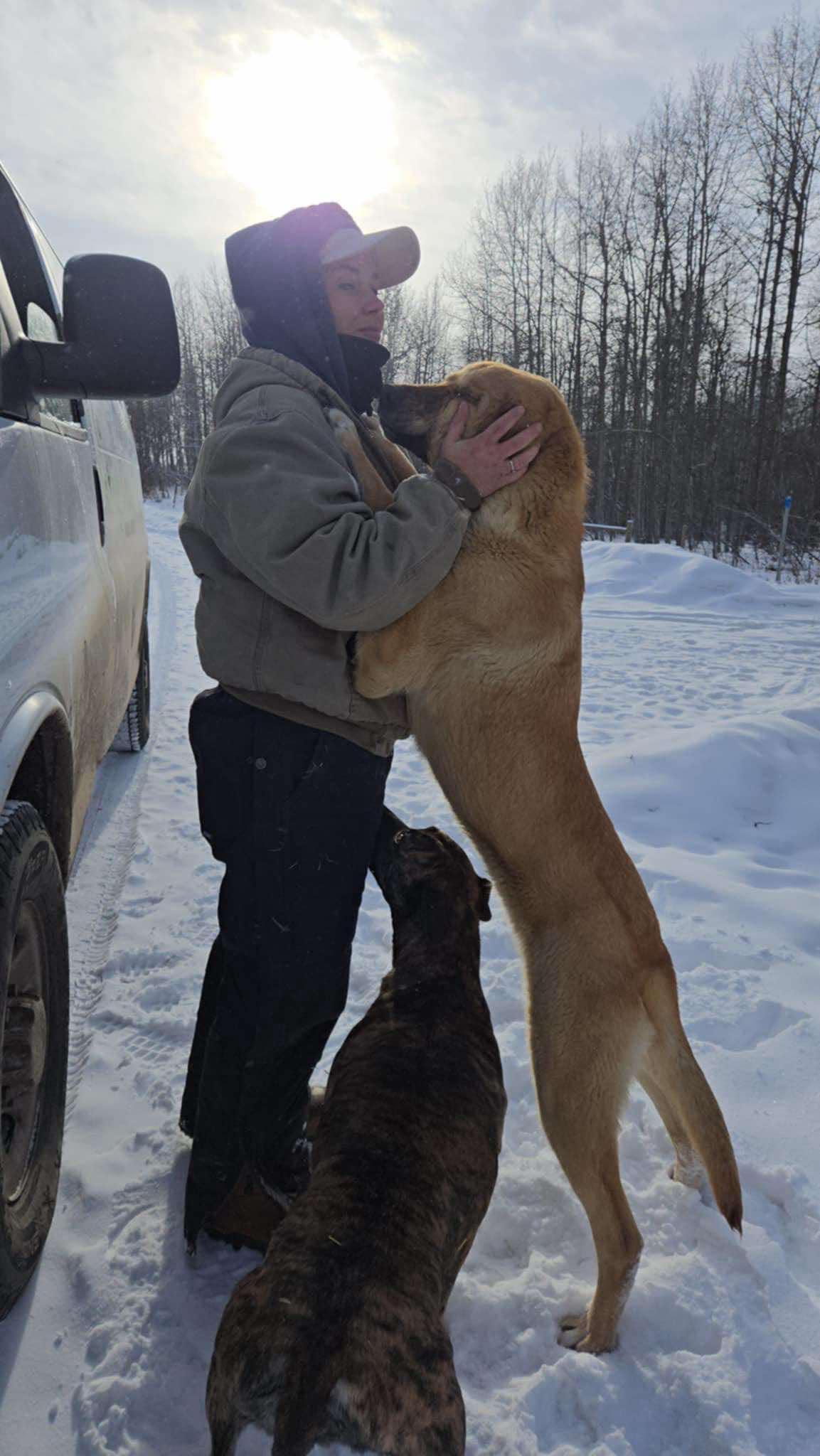 Dozens of animals rescued from central Alberta as cold weather hits - image