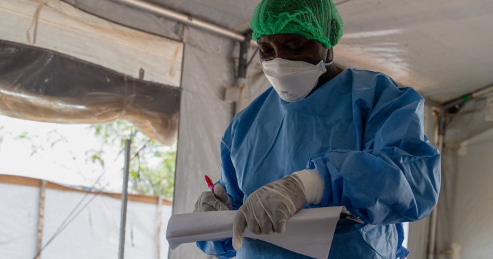 Mystery illness kills dozens in Congo after children ate bat