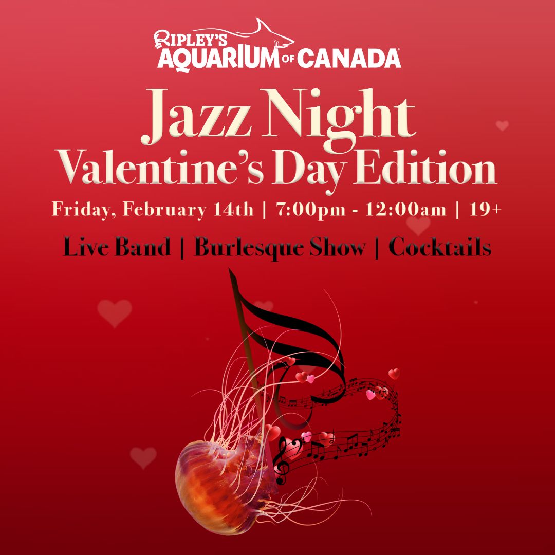 Ripely’s Jazz Night: Valentine’s Day Edition - image