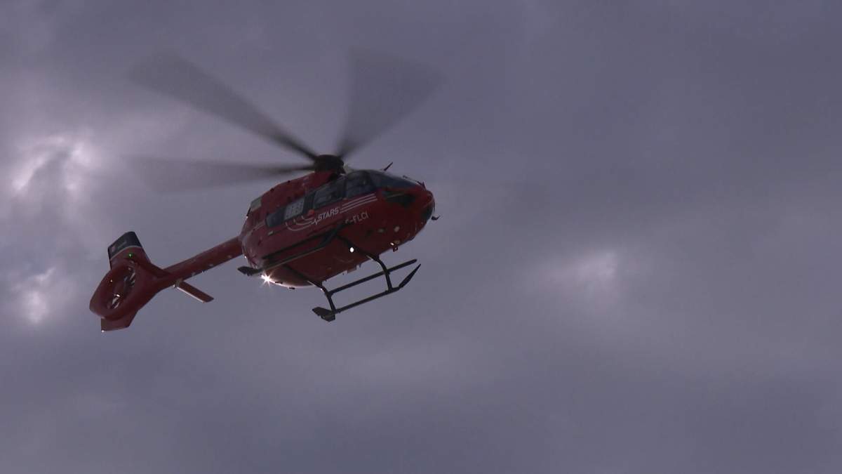 A 14-day-old baby was flown to hospital in Edmonton by STARS air ambulance following a dog attack west of Edmonton.