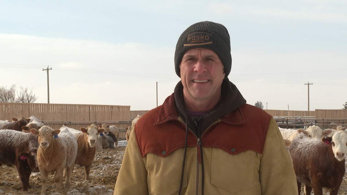For Ryan Kasko, owner of Kasco cattle company, it's perplexing why the U.S. would want to start a trade war with Canada.