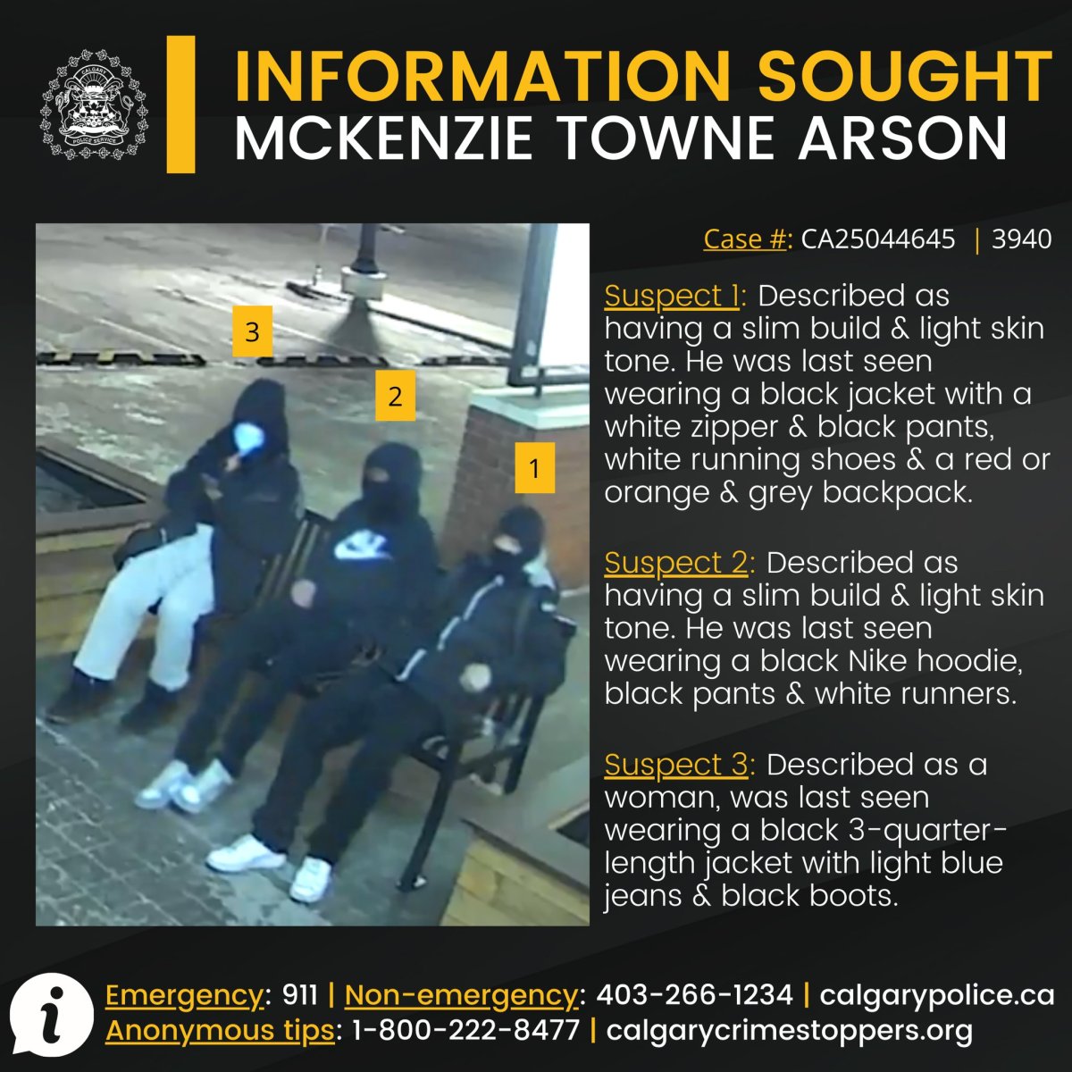 Calgary police seek information on suspects in arson investigation ...
