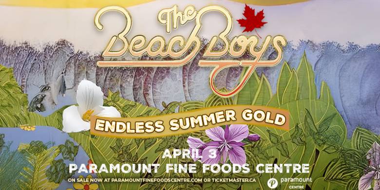 The Beach Boys - image