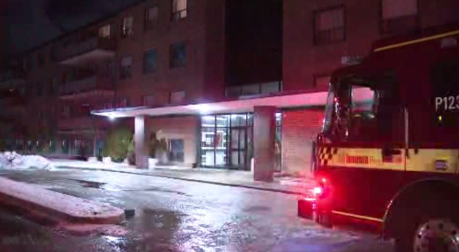 4 cats die in Toronto apartment building fire