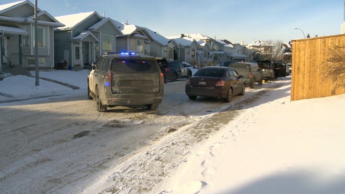 The Alberta Serious Incident Response Team says police officers were searching for a suspect in a stolen vehicle investigation on Wednesday when a young girl was bitten by a police dog.