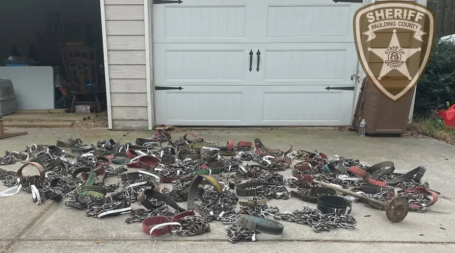 Dog collars seized at Vincent Lemark Burrell's Georgia home.