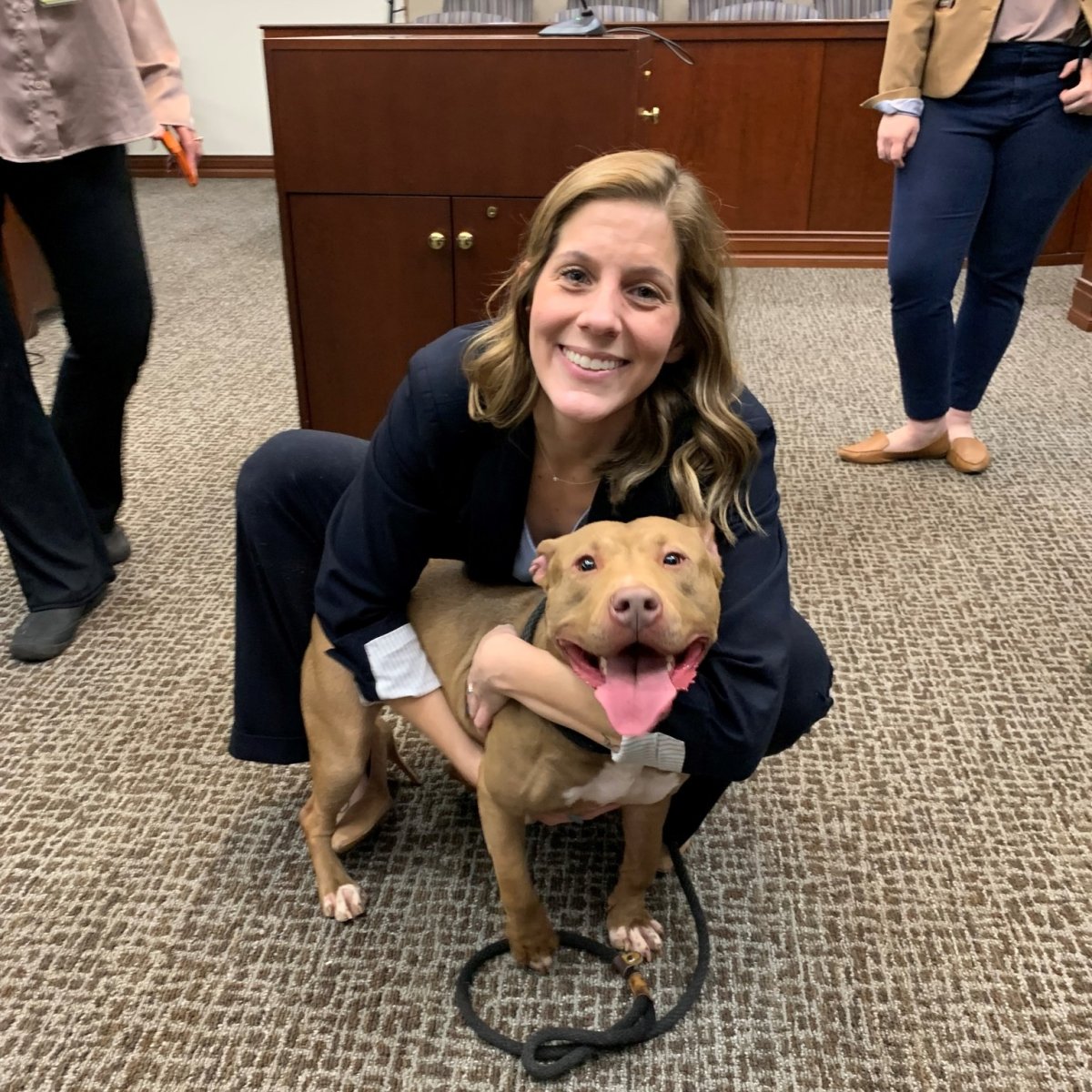 Assistant District Attorney K.C. Pagnotta poses with Baby Shark, one of the victims of the dog fighting ring.