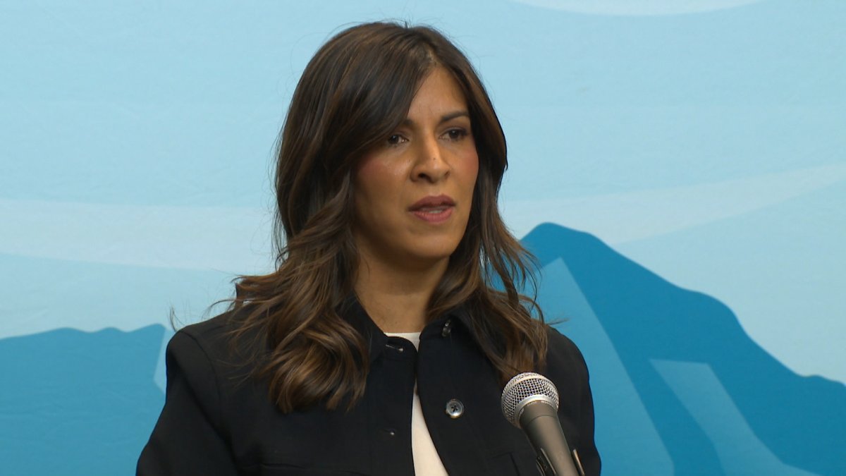 The deputy leader of the Alberta NDP Rakhi Pancholi says Alberta's premier and health minister should step aside until the allegations of high level government corruption have been properly investigated.