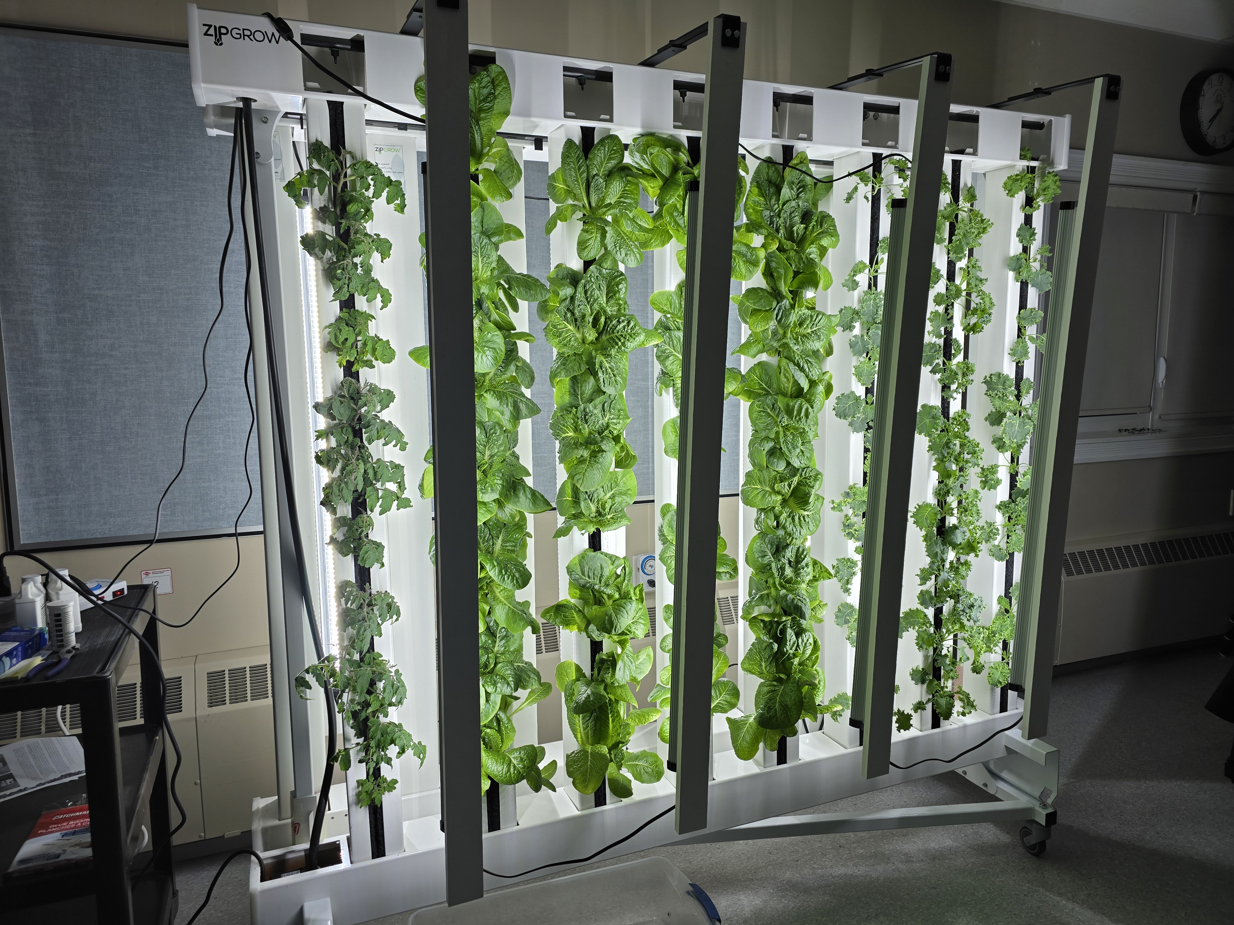 Ученици в Dinsmore Composite School час и половина югозападно от