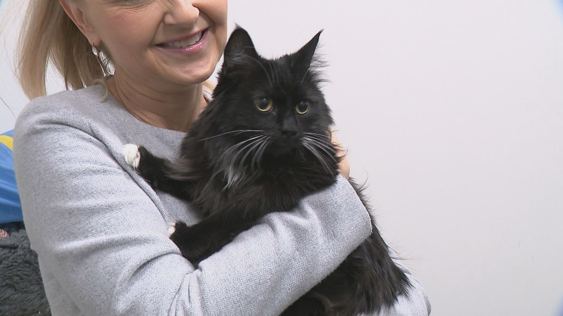 Запознайте се с Руби!  7-годишната котка беше предадена от собственика