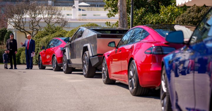 в ход за да даде предпочитание на канадските стоки и