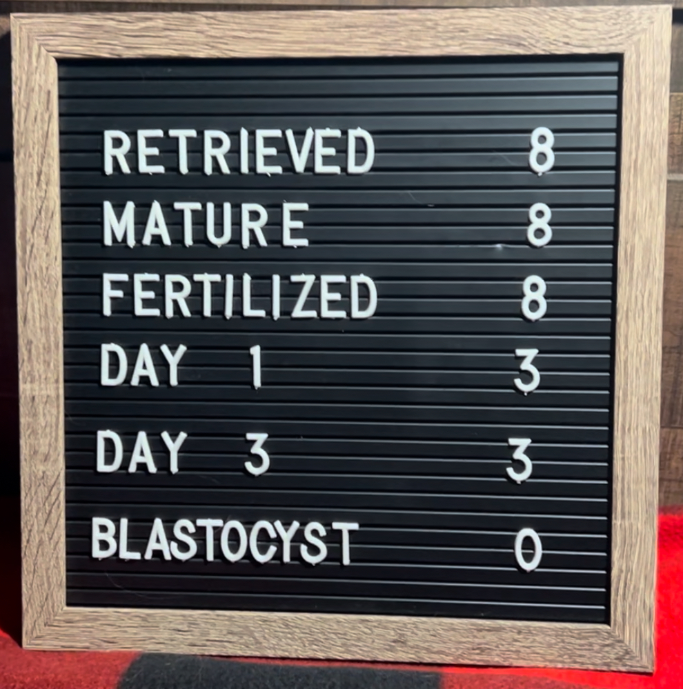 A board that lists eight retrieved, eight mature, eight fertilized. Next to Day 1, it says three, next to Day 3, it says three, but next to the word "Blastocyst" it says zero.