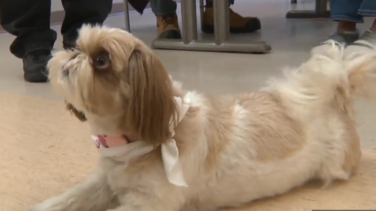 Преди една година Alberta Health Services промени политиката си за