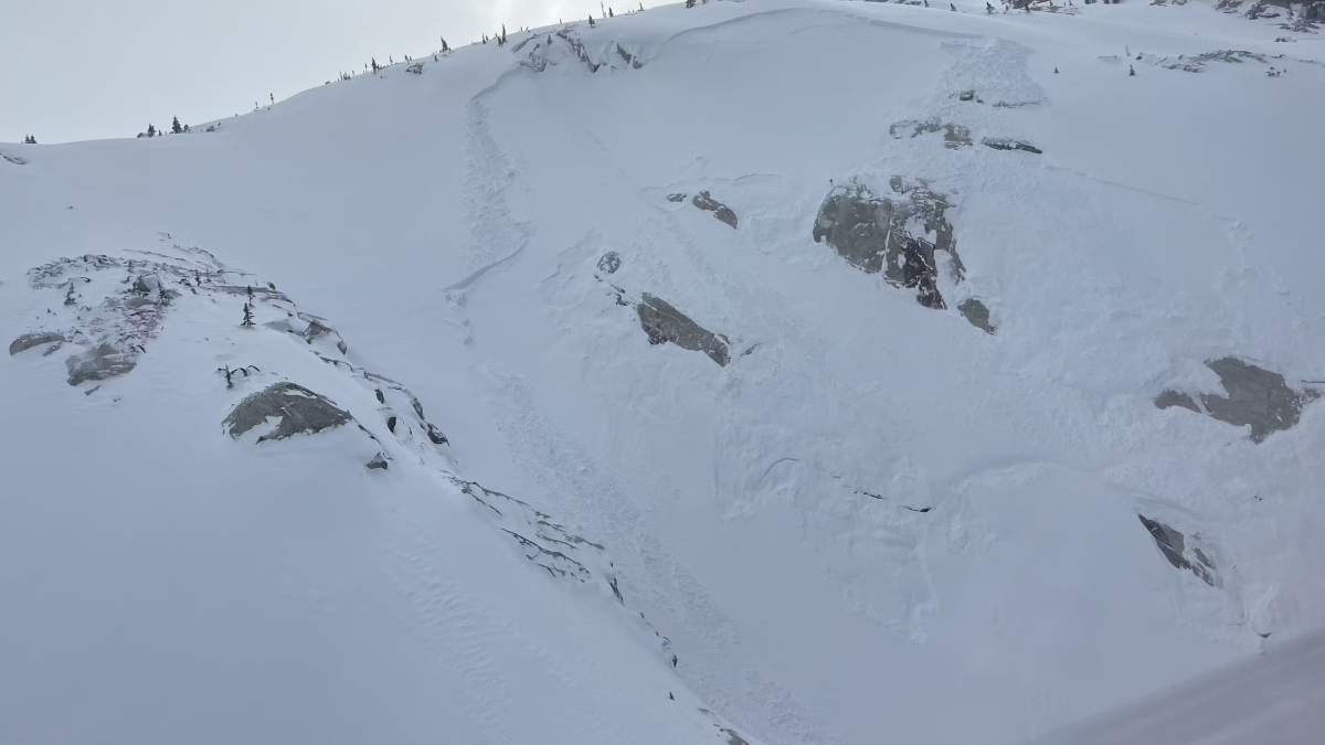 Aerial view of a large avalanche near Radium, B.C. on February 23, that killed a man who was snowmobiling with two friends.