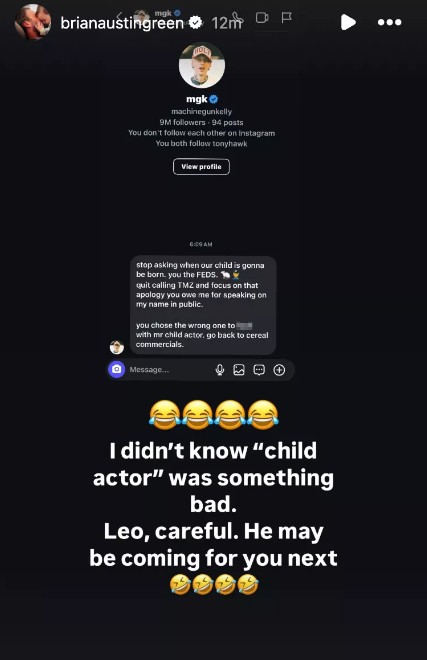 A screenshot of Brian Austin Green's Instagram Stories.