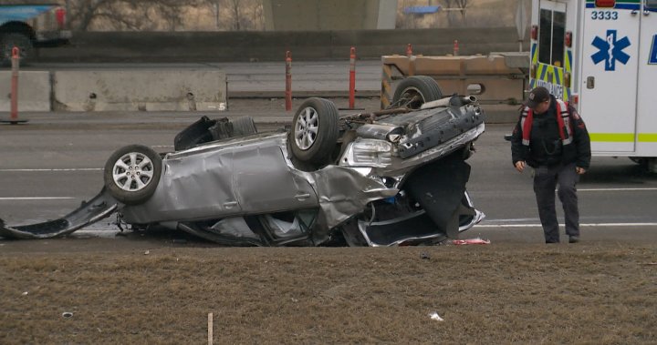 Калгари полицията е затворила пътеката на северния елен между Мемориал