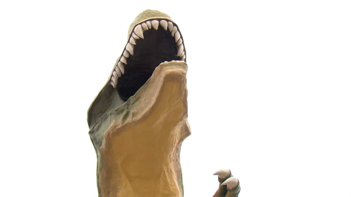 Tyra the Tyrannosaurus has towered over the town of Drumheller for a quarter of a century, attracting an estimated 150,000 photo snapping visitors per year.