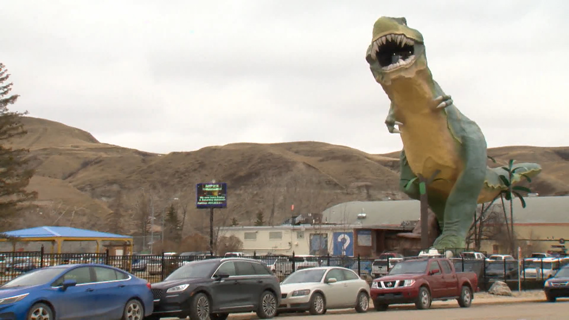 tyra therannosaurus милата забележителност която се извисява над силуета на