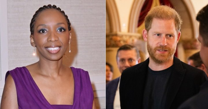 председателят на африканска благотворителна организация съпътстващ принц Хари обвинил Кралския