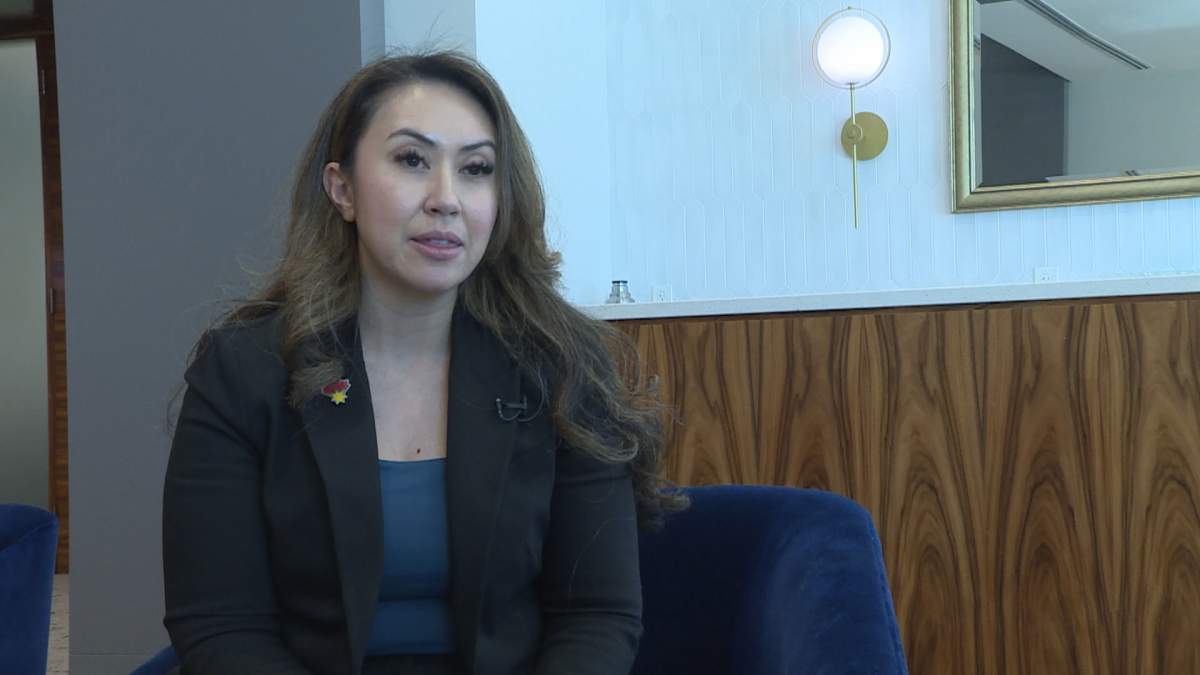 Northback Holdings' Rina Blacklaws said any exploration for coal in the eastern slopes would be subjected to some of the strictest environmental laws in the world.