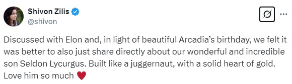 A screenshot of Shivon Zilis' post on X, announcing her fourth child with Elon Musk.