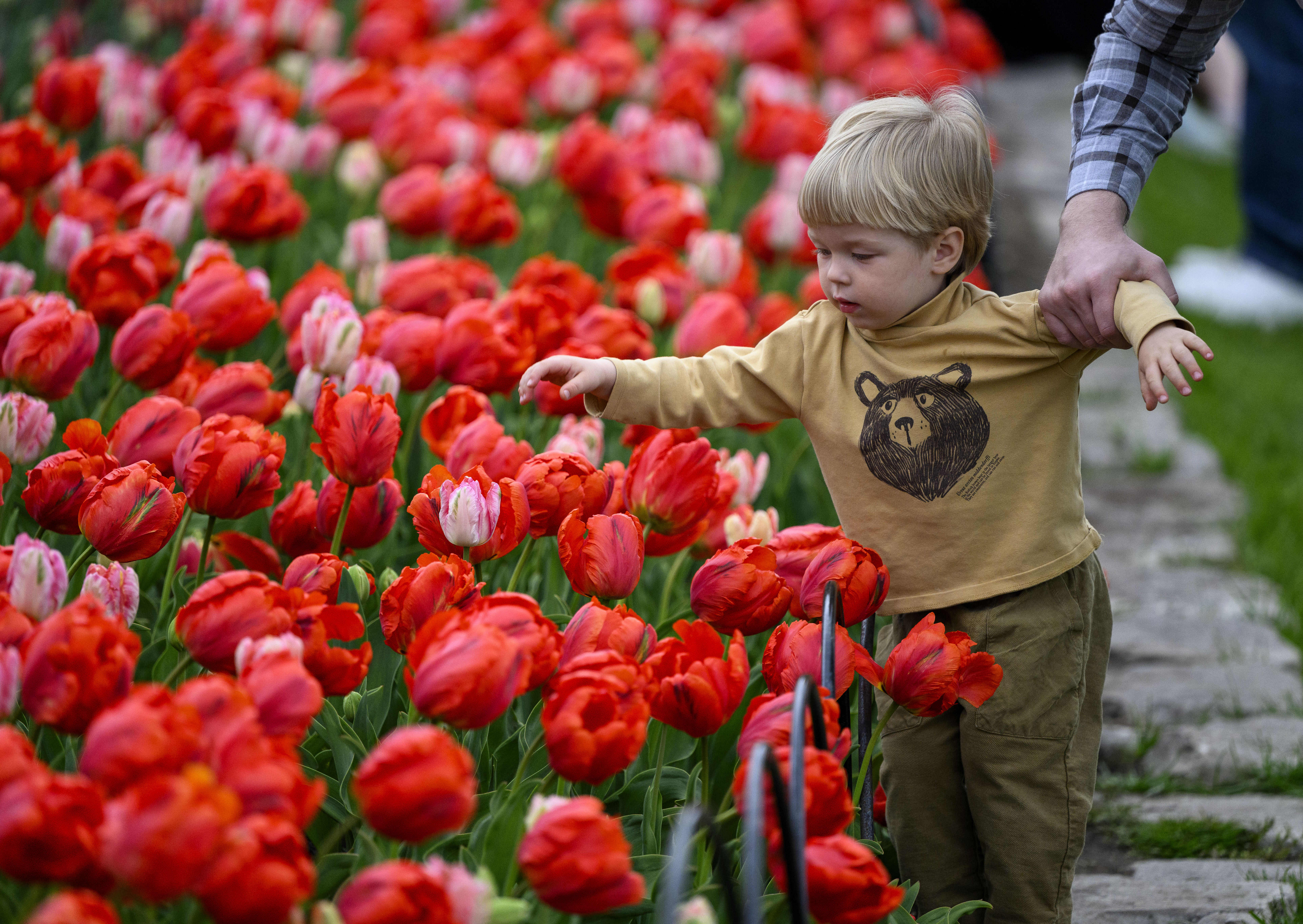 Пролетта винаги е променлива битка на сезон в който зимата