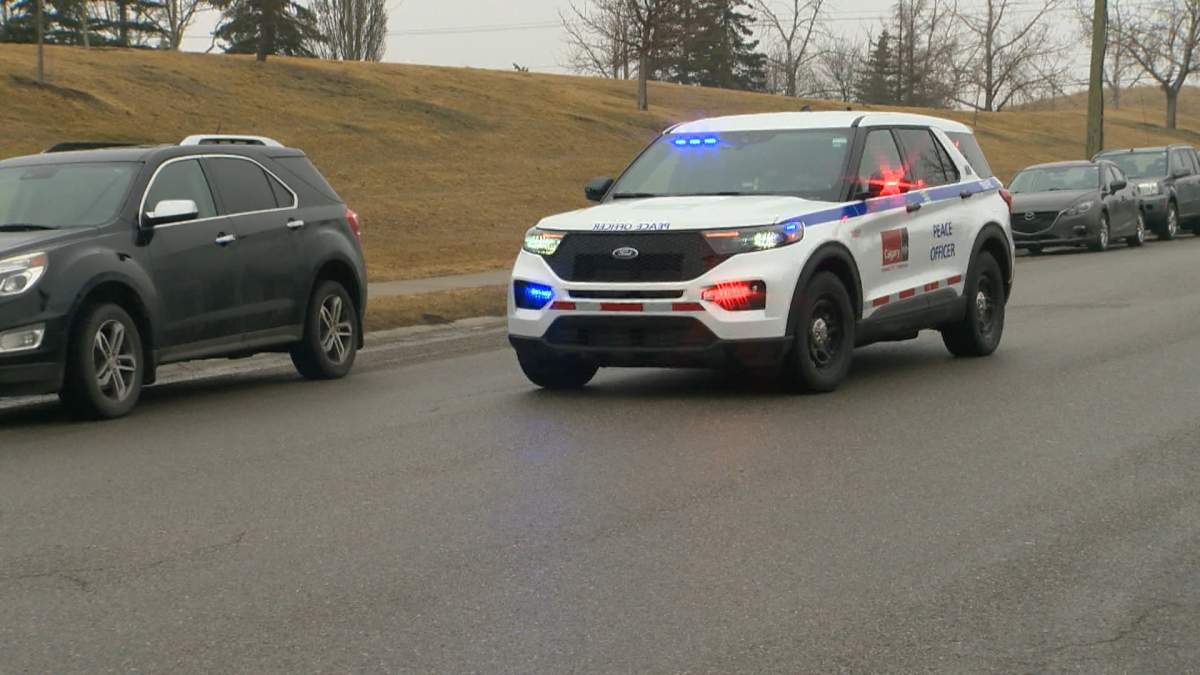 The city of Calgary's new traffic safety officers will drive vehicles that are similar to the vehicles peace officers are using.