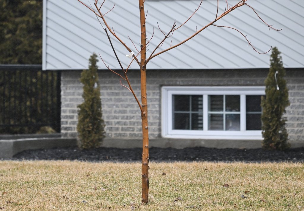 Някои от най големите градове в Онтарио казват че макар новите