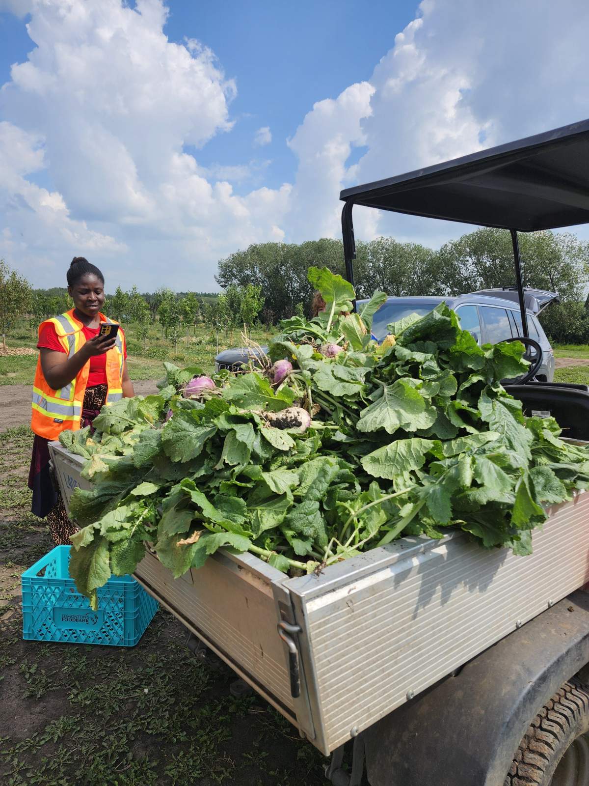 Courtesy: Edmonton’s Food Bank
