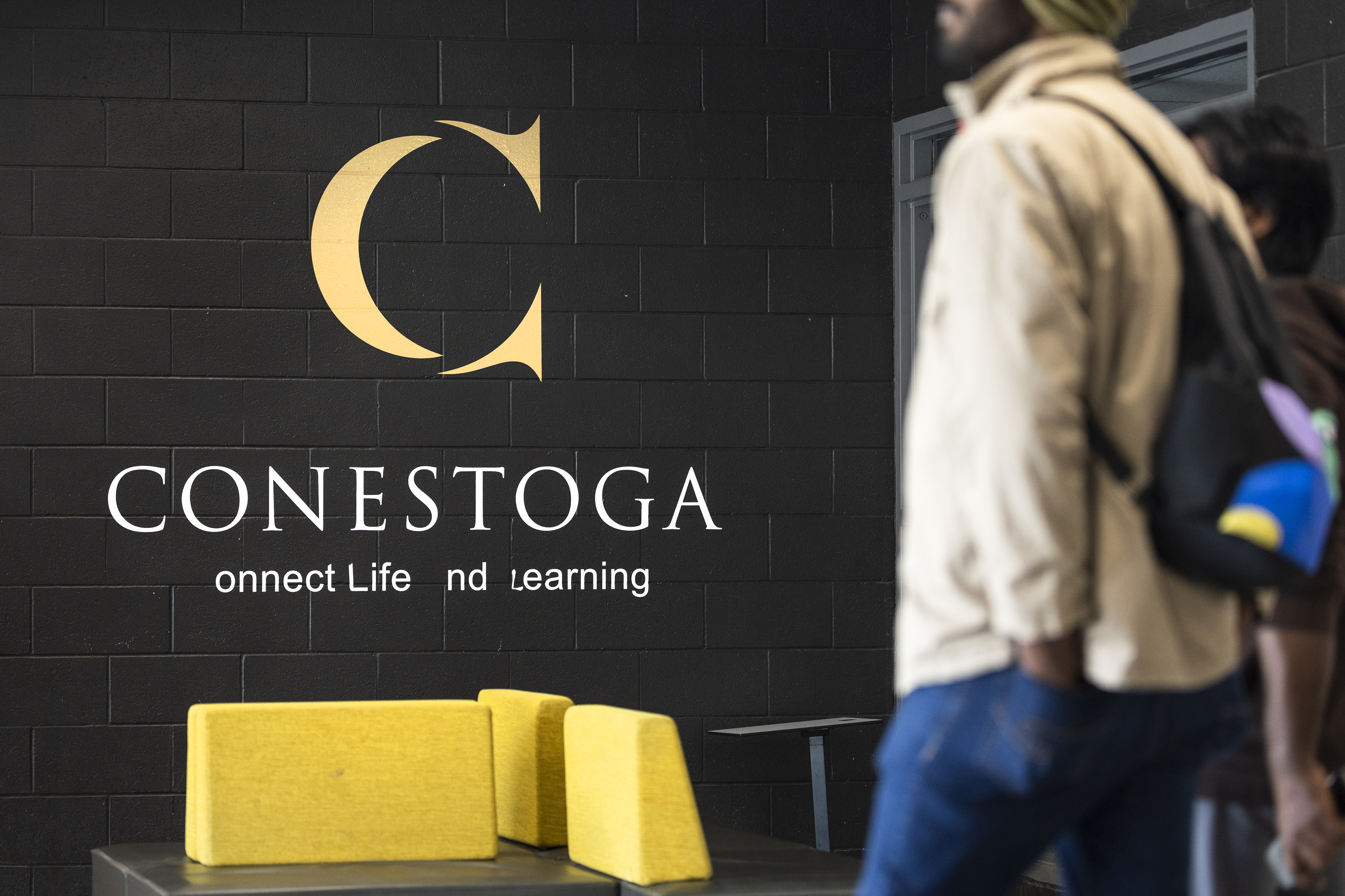 през изминалата година очукани публичните колежи на Онтарио като спад