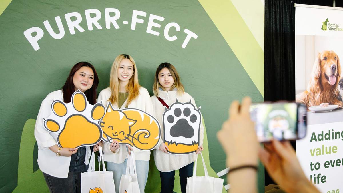 Edmonton International Cat Festival - image