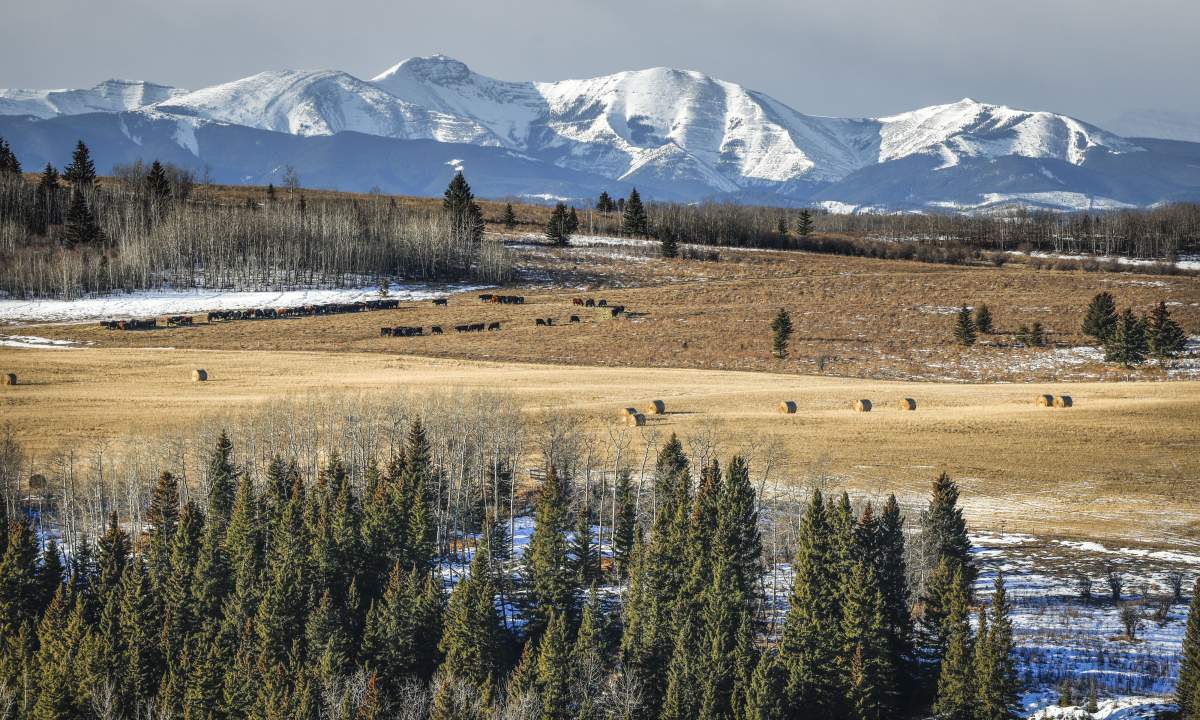 File photo of ranch land west of Cochrane, Alta., Friday, Feb. 10, 2023.