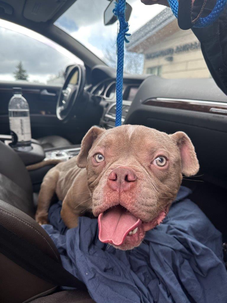 Предупреждение Някои от детайлите и образите в тази история са