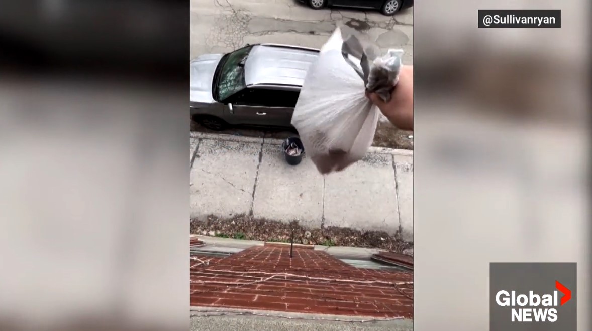 Създателят на съдържание базиран на Квебек приема изражението Trash TV