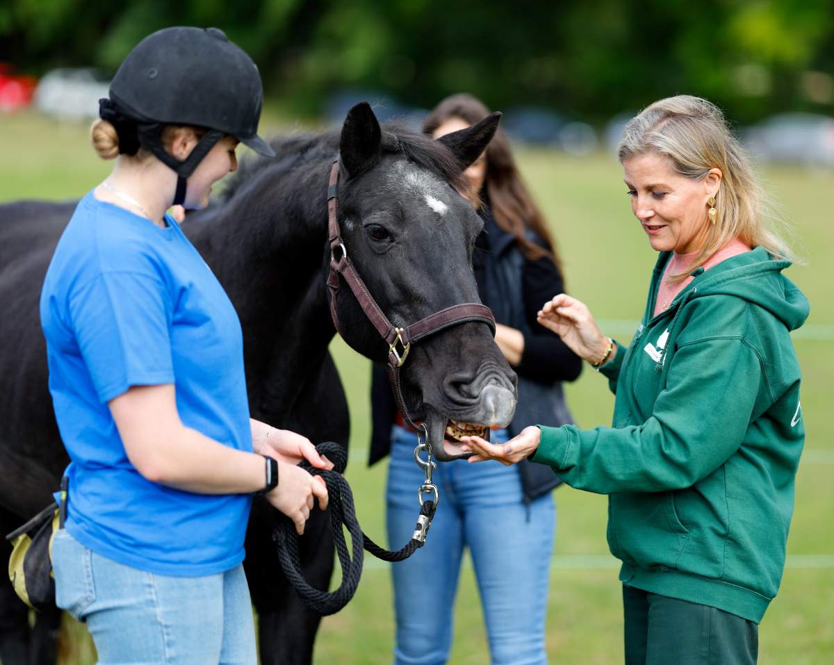 Sophie, Duchess of Edinburgh feeds a rescue horse as she visits Mane Chance Sanctuary, a horse rescue charity which aims to rehabilitate abused, abandoned and old horses by integrating them with the local community on September 25, 2024 in Guildford, England.