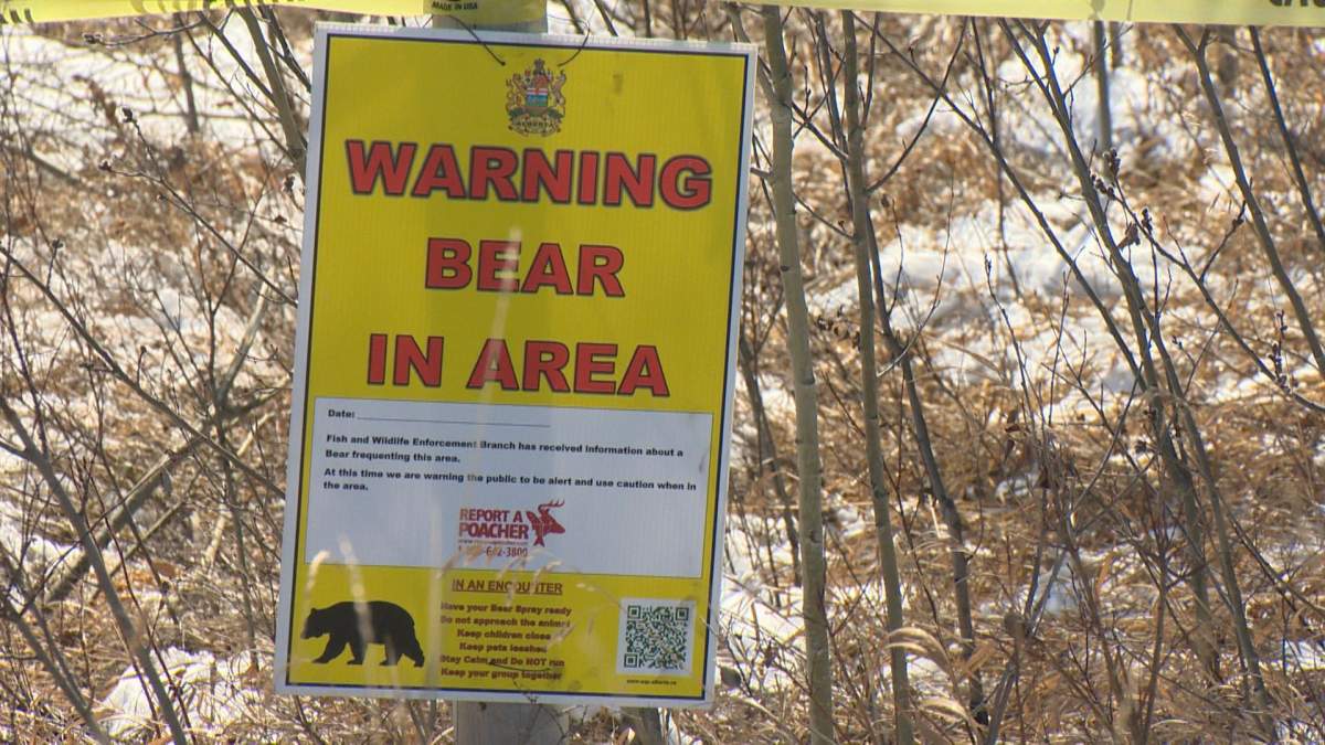 Sign warning of a bear in the area.