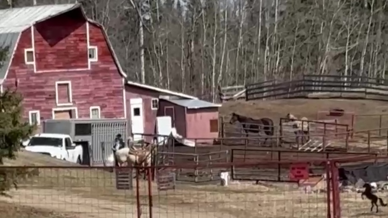 Жена която е била обект на множество разследвания за злоупотреба