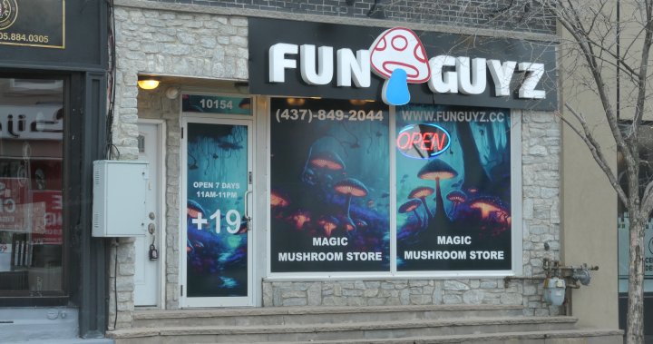 Йоркската регионална полиция повдигна десетки обвинения след като затвори мрежа